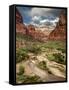 USA, Utah, Zion National Park. View Along the Virgin River-Ann Collins-Framed Stretched Canvas