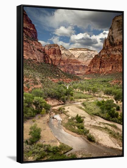 USA, Utah, Zion National Park. View Along the Virgin River-Ann Collins-Framed Stretched Canvas