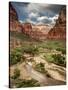 USA, Utah, Zion National Park. View Along the Virgin River-Ann Collins-Stretched Canvas