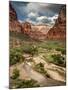 USA, Utah, Zion National Park. View Along the Virgin River-Ann Collins-Mounted Photographic Print