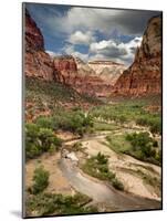 USA, Utah, Zion National Park. View Along the Virgin River-Ann Collins-Mounted Photographic Print