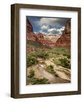 USA, Utah, Zion National Park. View Along the Virgin River-Ann Collins-Framed Photographic Print