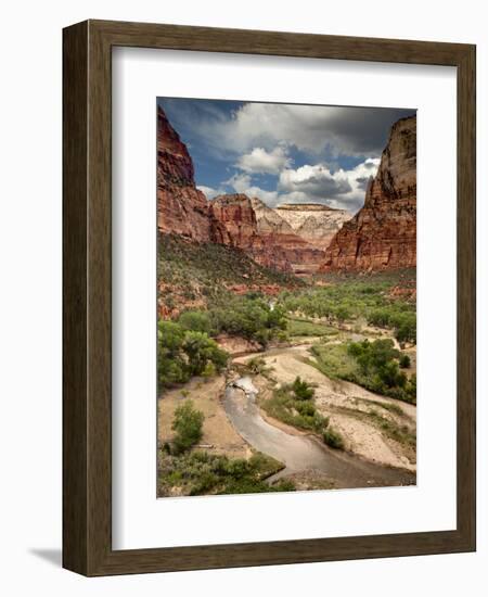 USA, Utah, Zion National Park. View Along the Virgin River-Ann Collins-Framed Photographic Print