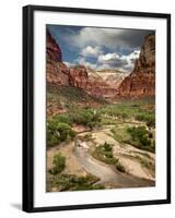 USA, Utah, Zion National Park. View Along the Virgin River-Ann Collins-Framed Photographic Print