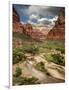 USA, Utah, Zion National Park. View Along the Virgin River-Ann Collins-Framed Photographic Print