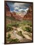 USA, Utah, Zion National Park. View Along the Virgin River-Ann Collins-Framed Photographic Print