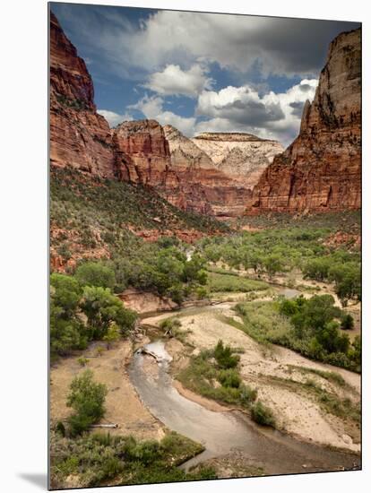 USA, Utah, Zion National Park. View Along the Virgin River-Ann Collins-Mounted Photographic Print