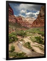 USA, Utah, Zion National Park. View Along the Virgin River-Ann Collins-Framed Photographic Print