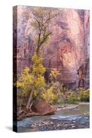 USA, Utah, Zion National Park, Virgin River and Cottonwood Trees-Jamie & Judy Wild-Stretched Canvas