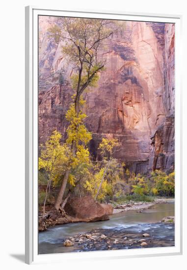 USA, Utah, Zion National Park, Virgin River and Cottonwood Trees-Jamie & Judy Wild-Framed Premium Photographic Print