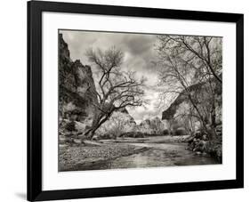 USA, Utah. Zion National Park, Virgin River and Cottonwoods in winter tinted monochrome-Ann Collins-Framed Photographic Print
