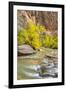 USA, Utah, Zion National Park. Virgin River and fall cottonwood trees.-Jaynes Gallery-Framed Premium Photographic Print