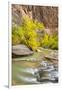 USA, Utah, Zion National Park. Virgin River and fall cottonwood trees.-Jaynes Gallery-Framed Photographic Print