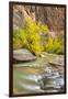 USA, Utah, Zion National Park. Virgin River and fall cottonwood trees.-Jaynes Gallery-Framed Photographic Print