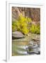 USA, Utah, Zion National Park. Virgin River and fall cottonwood trees.-Jaynes Gallery-Framed Photographic Print