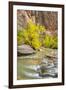 USA, Utah, Zion National Park. Virgin River and fall cottonwood trees.-Jaynes Gallery-Framed Photographic Print