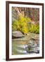 USA, Utah, Zion National Park. Virgin River and fall cottonwood trees.-Jaynes Gallery-Framed Photographic Print