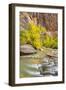 USA, Utah, Zion National Park. Virgin River and fall cottonwood trees.-Jaynes Gallery-Framed Photographic Print