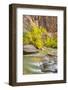 USA, Utah, Zion National Park. Virgin River and fall cottonwood trees.-Jaynes Gallery-Framed Photographic Print