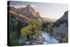 USA, Utah, Zion National Park, Virgin River and the Watchman-Jamie & Judy Wild-Stretched Canvas