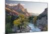 USA, Utah, Zion National Park, Virgin River and the Watchman-Jamie & Judy Wild-Mounted Photographic Print