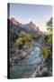 USA, Utah, Zion National Park, Virgin River and the Watchman-Jamie & Judy Wild-Stretched Canvas