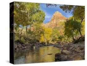 USA, Utah. Zion National Park, Virgin River and The Watchman-Jamie & Judy Wild-Stretched Canvas