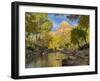 USA, Utah. Zion National Park, Virgin River and The Watchman-Jamie & Judy Wild-Framed Photographic Print