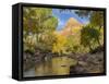 USA, Utah. Zion National Park, Virgin River and The Watchman-Jamie & Judy Wild-Framed Stretched Canvas