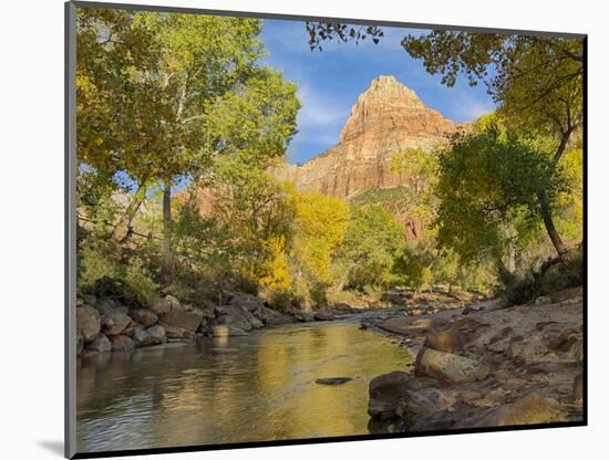 USA, Utah. Zion National Park, Virgin River and The Watchman-Jamie & Judy Wild-Mounted Photographic Print