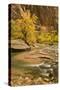 USA, Utah, Zion National Park. Virgin River Autumn Scenic-Jaynes Gallery-Stretched Canvas