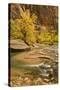 USA, Utah, Zion National Park. Virgin River Autumn Scenic-Jaynes Gallery-Stretched Canvas