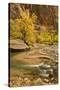 USA, Utah, Zion National Park. Virgin River Autumn Scenic-Jaynes Gallery-Stretched Canvas