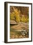 USA, Utah, Zion National Park. Virgin River Autumn Scenic-Jaynes Gallery-Framed Photographic Print