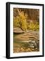 USA, Utah, Zion National Park. Virgin River Autumn Scenic-Jaynes Gallery-Framed Photographic Print