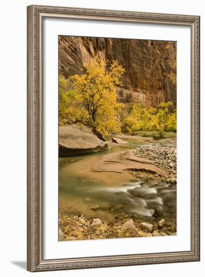 USA, Utah, Zion National Park. Virgin River Autumn Scenic-Jaynes Gallery-Framed Photographic Print