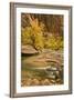 USA, Utah, Zion National Park. Virgin River Autumn Scenic-Jaynes Gallery-Framed Photographic Print