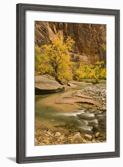 USA, Utah, Zion National Park. Virgin River Autumn Scenic-Jaynes Gallery-Framed Photographic Print