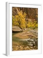 USA, Utah, Zion National Park. Virgin River Autumn Scenic-Jaynes Gallery-Framed Photographic Print