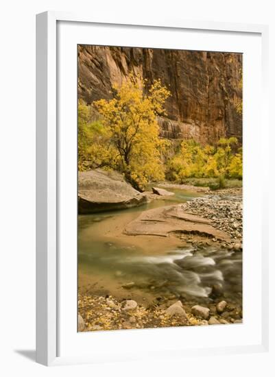 USA, Utah, Zion National Park. Virgin River Autumn Scenic-Jaynes Gallery-Framed Photographic Print