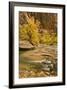 USA, Utah, Zion National Park. Virgin River Autumn Scenic-Jaynes Gallery-Framed Photographic Print