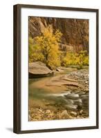 USA, Utah, Zion National Park. Virgin River Autumn Scenic-Jaynes Gallery-Framed Photographic Print