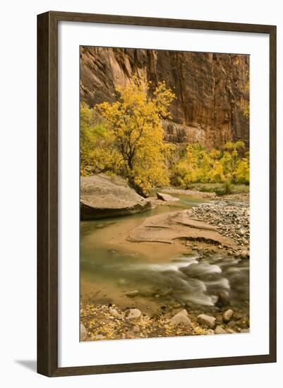 USA, Utah, Zion National Park. Virgin River Autumn Scenic-Jaynes Gallery-Framed Photographic Print