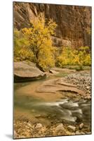 USA, Utah, Zion National Park. Virgin River Autumn Scenic-Jaynes Gallery-Mounted Photographic Print