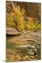 USA, Utah, Zion National Park. Virgin River Autumn Scenic-Jaynes Gallery-Mounted Photographic Print