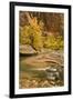 USA, Utah, Zion National Park. Virgin River Autumn Scenic-Jaynes Gallery-Framed Photographic Print