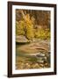 USA, Utah, Zion National Park. Virgin River Autumn Scenic-Jaynes Gallery-Framed Photographic Print