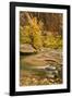 USA, Utah, Zion National Park. Virgin River Autumn Scenic-Jaynes Gallery-Framed Photographic Print