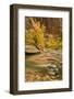 USA, Utah, Zion National Park. Virgin River Autumn Scenic-Jaynes Gallery-Framed Photographic Print