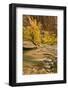 USA, Utah, Zion National Park. Virgin River Autumn Scenic-Jaynes Gallery-Framed Photographic Print